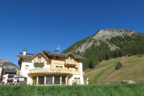 Отель B&B Ecohotel Chalet des Alpes  Ливиньо